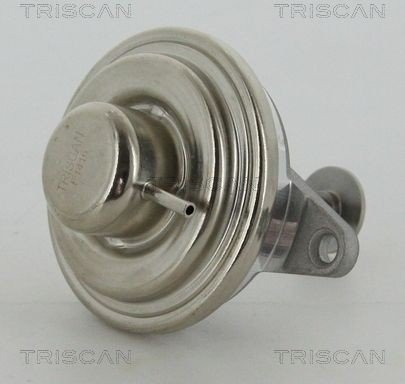 EGR ventil TRISCAN 8813 24054