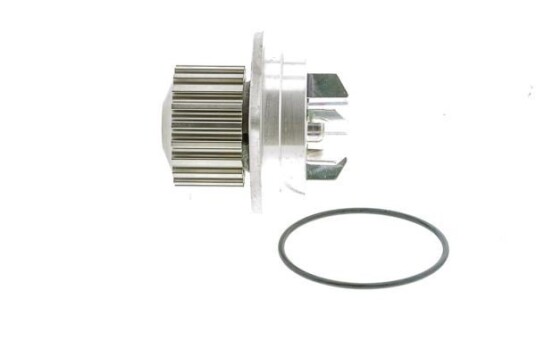 AISIN WE CI01 Vannpumpe