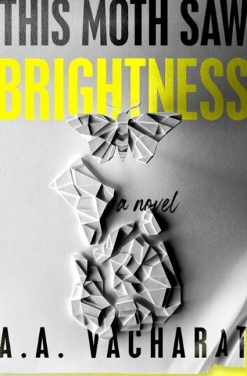 This Moth Saw Brightness This Moth Saw Brightness