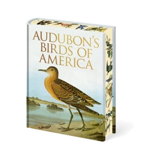 Audubon's Birds of America Audubon's Birds of America