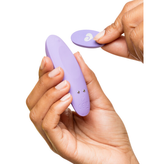 Lovehoney Panty Vibrator