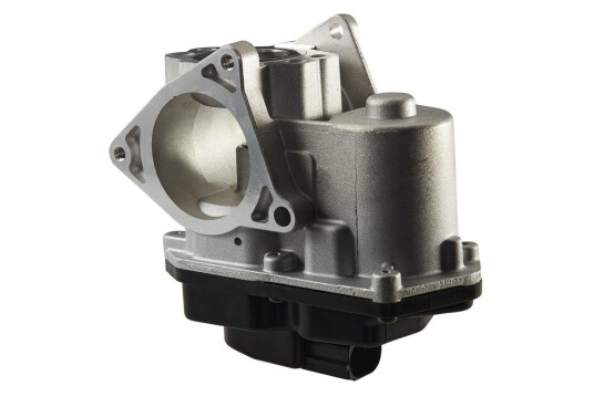 EGR Ventil HELLA 6NU 010 171-801 EGR Ventil HELLA 6NU 010 171-801