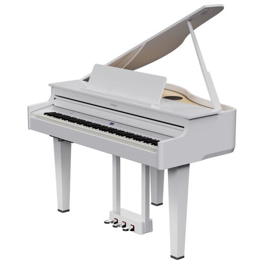 Roland Gp 6 Pw Mini Grand