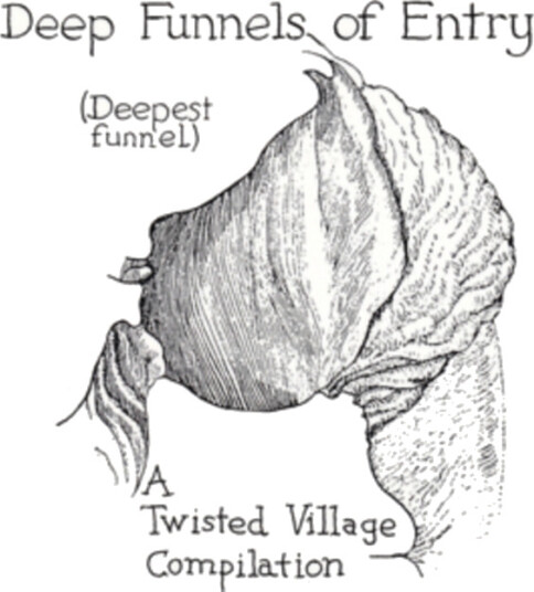 Diverse Artister  Deep Funnels Of Entry  CD