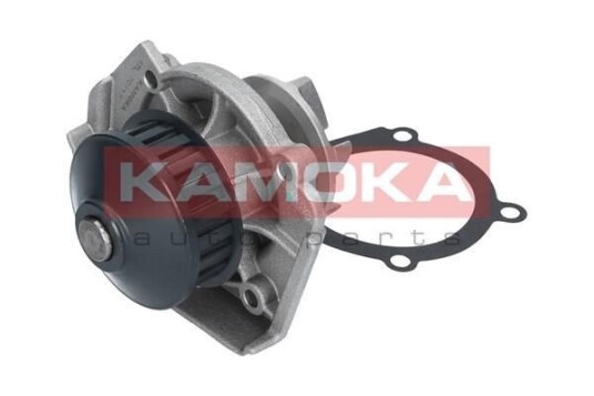 Vannpumpe KAMOKA T0117