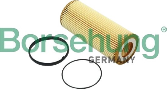 Oljefilter Borsehung B12820