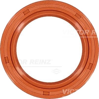REINZ 81-38343-00 Simring, veivaksel