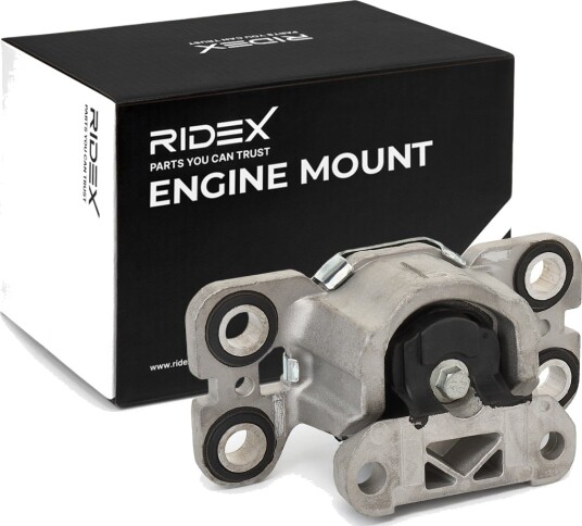RIDEX 247E0456 Motorfeste