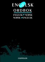 Engelsk ordbok Pent brukt bok uten markeringer