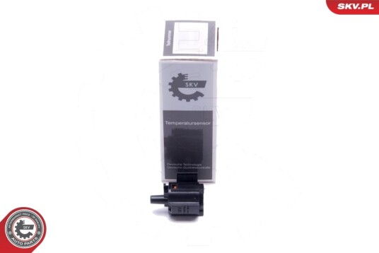 Sensor utetemperatur ESEN SKV 17SKV707