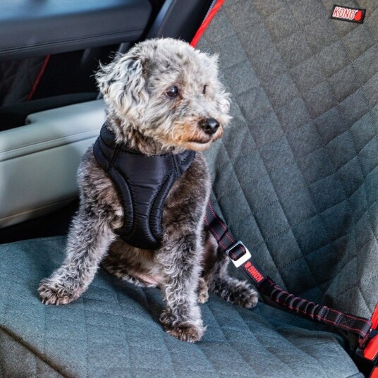 Kong Deluxe Swivel Feste Til Bilsele Hund