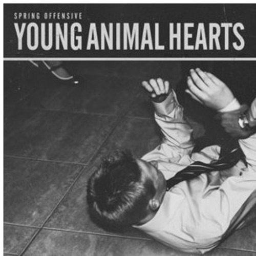 Spring Offensive Young Animal Hearts CD