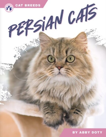 Cat Breeds: Persian Cats Cat Breeds: Persian Cats