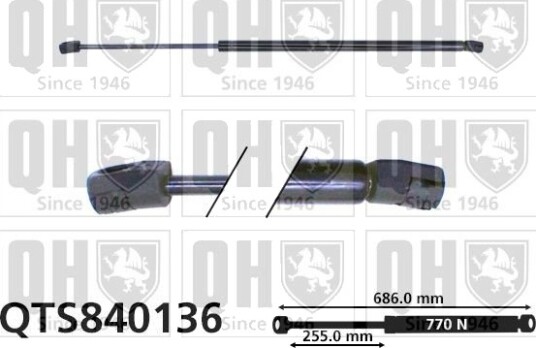 QUINTON HAZELL QTS840136 Baklukedemper