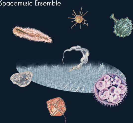 Spacemusic Ensemble Is Okay Okay Is Certified CD