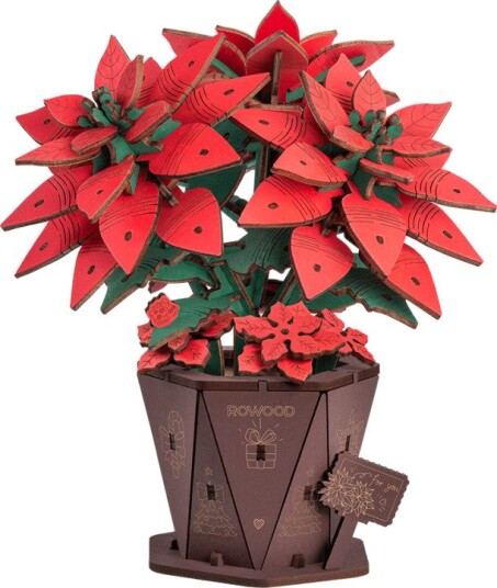 Blomst Rowood Julestjerne (Poinsettia)