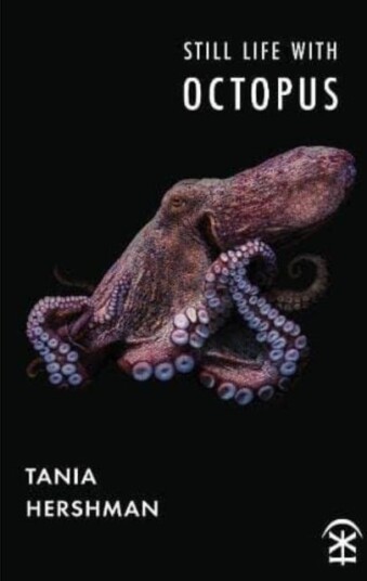 Still Life With Octopus Still Life With Octopus