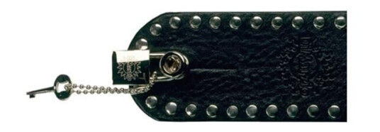Dimarzio Dd2100n Guitar Strap Lock Nickel