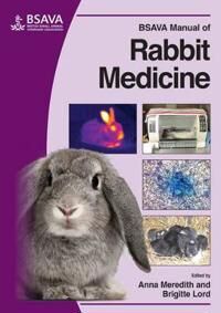 Bsava Manual Of Rabbit Medicine Av A Meredith