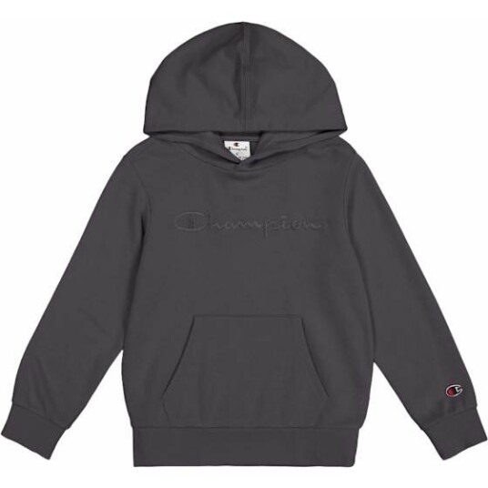 Champion Tonal Icons Hooded Sweatshirt Gutt Nine Iron M 9 10