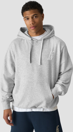 Icaniwill Everyday Terry Hoodie Grå Ljusgrå X large