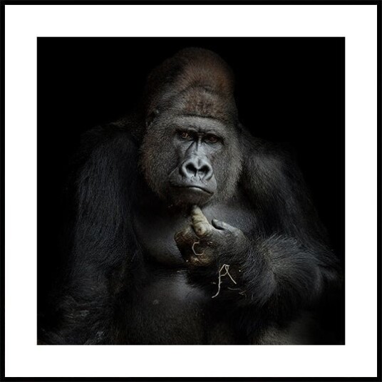 IMHO .... Plakat Plakat / 30x30cm