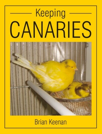 Keeping Canaries Av Brian Keenan