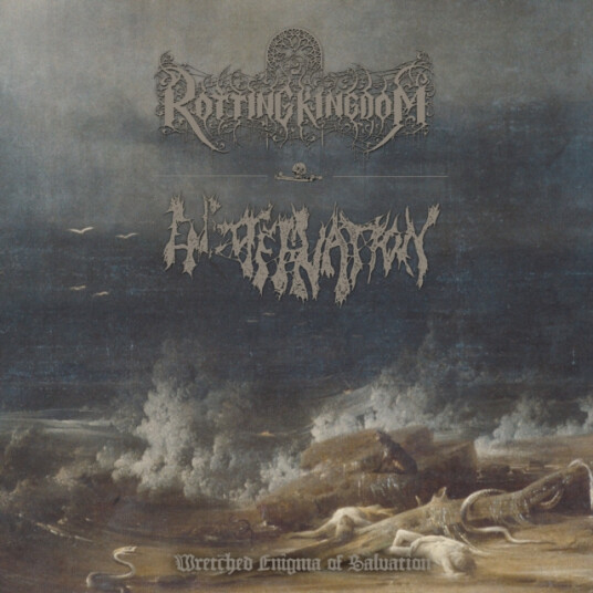 Encoffination, Rotting Kingdom Wretched Enigma Of Salvation CD
