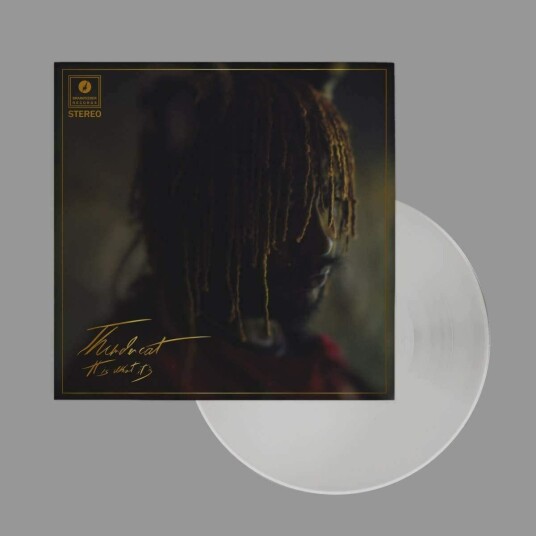 Thundercat It Is What It Is LP/Vinyl Thundercat It Is What It Is LP/Vinyl