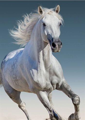 Borg Living Fleece teppe Horse 100x140 cm