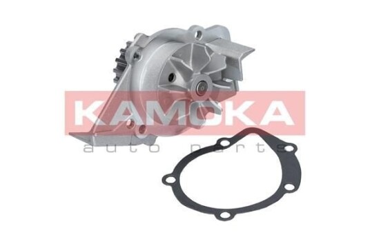 KAMOKA T0095 Vannpumpe