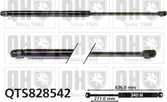 QUINTON HAZELL QTS828542 Baklukedemper