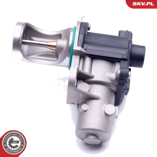 EGR ventil ESEN SKV 14SKV172