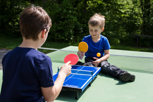 Donic-Schildkröt Bordtennisbord Mini 68 x 33 cm Donic-Schildkröt Bordtennisbord Mini 68 x 33 cm