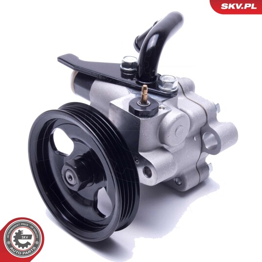 Servopumpe ESEN SKV 10SKV301