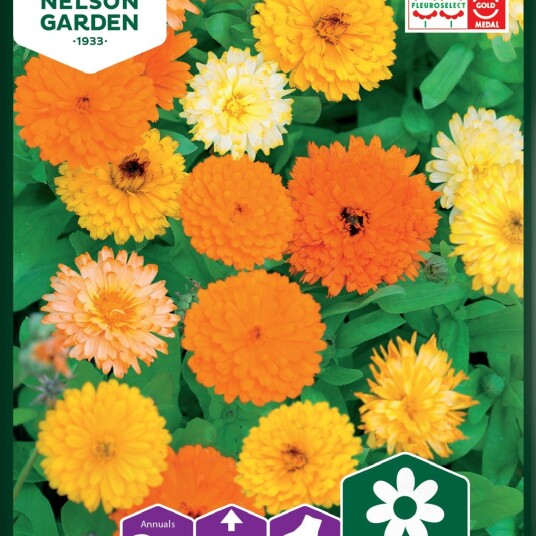Nelson Garden Ringblomst Fiesta Gitana