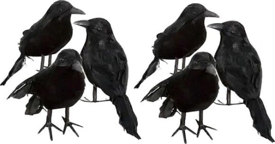Halloween Kunstige Kråker med Fjær Svart 6 stk FMY
