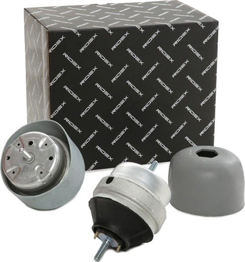 Motorfeste RIDEX 247E0800
