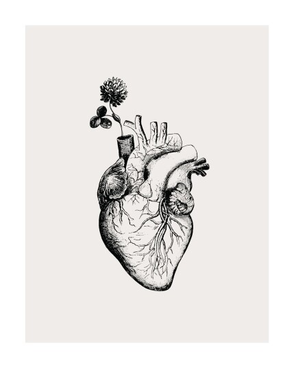 Namly Design Plakat Anatomisk hjertekunst POSTERXY0GIZ