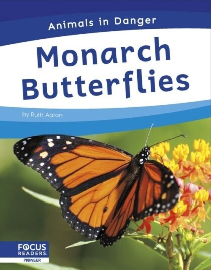 Monarch Butterflies