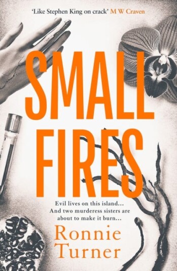 Small Fires This year's most unsettling, hypnotic contemporary gothic thriller