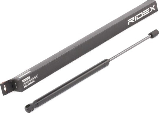RIDEX 219G0564 Baklukedemper