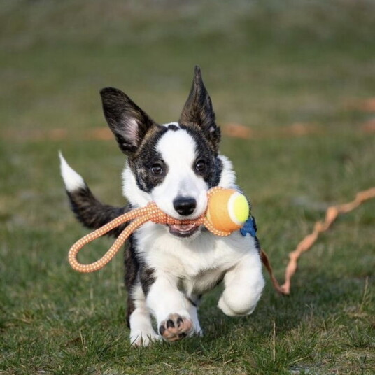 Draleke Med Tennisball 26Cm