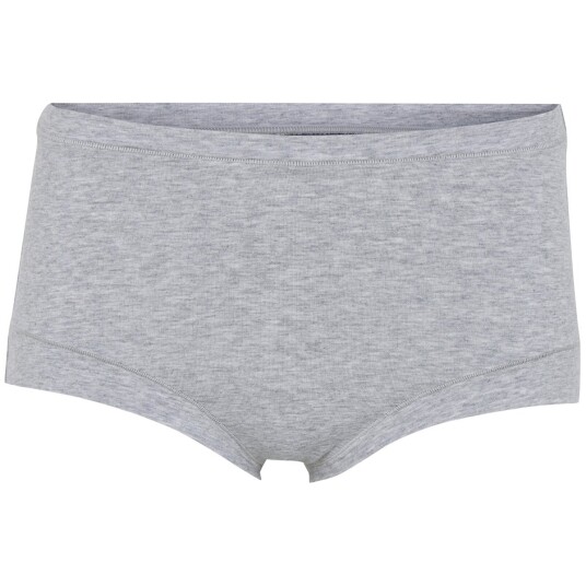 JBS of Denmark Truser Bamboo Maxi Brief Lysgrå X-Large Dame