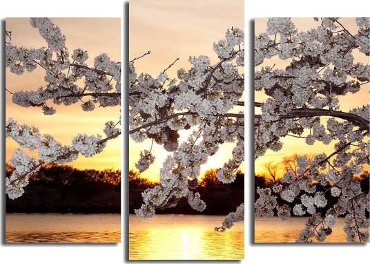 Canvasbilde 3 pk flerfarget 22x03 cm