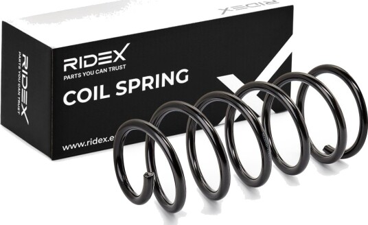 RIDEX 188C1407 Fjær