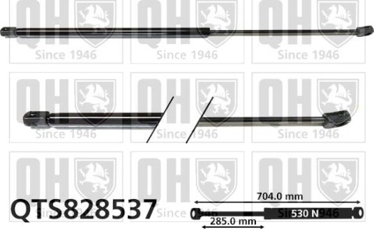 QUINTON HAZELL QTS828537 Baklukedemper