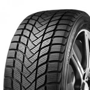 Delinte Winter WD6 205/50R17 93H