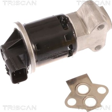 TRISCAN 8813 21100 EGR-ventil