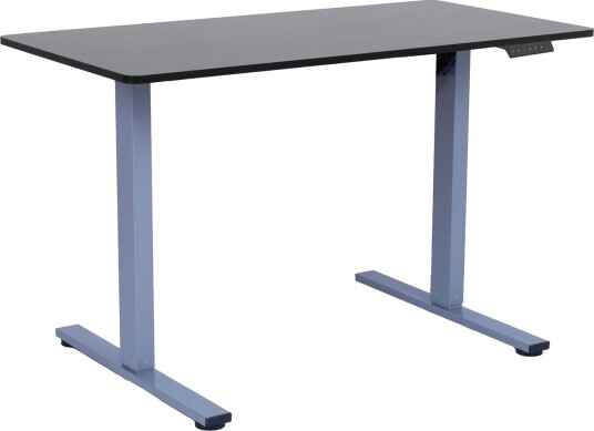Skrivebord HOME4YOU Ergo Fit med 1 motor 120x60x71,5-116 cm Svart/sølvgrå - Svart/sølvgrå
